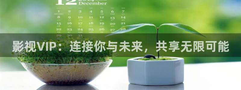 麻豆国产电影在线免费观看